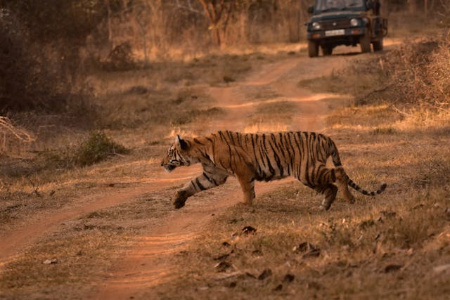 Gwalior Khajuraho Panna Tour